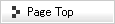 Page Top